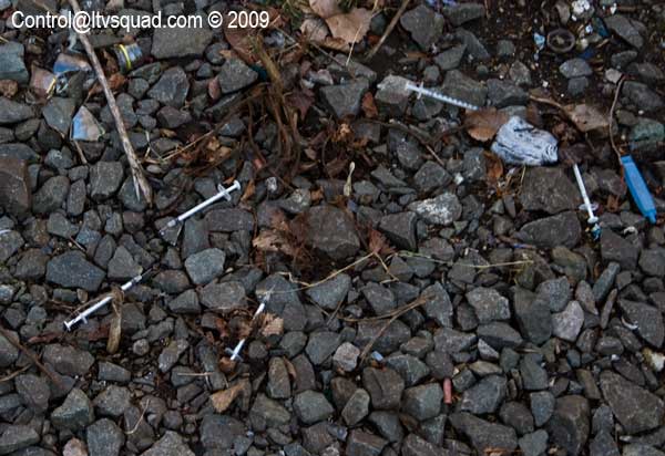 Here we see the rare South Bronx Syringe Plant sprouting all over the place